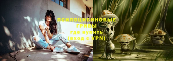 PSILOCYBIN Остров
